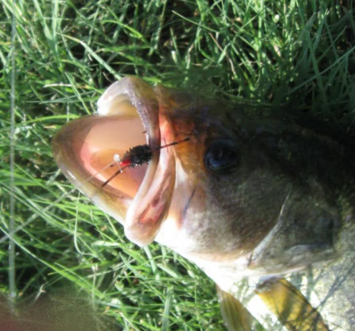 So good :) - 026.jpg